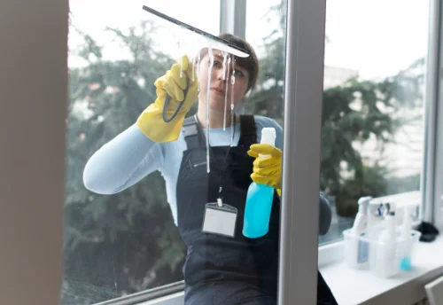 Nettoyage de vitres intérieures et extérieures à Lauraët